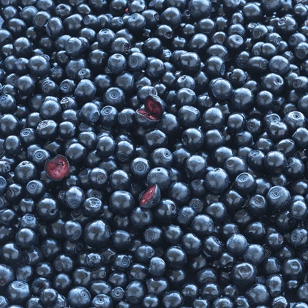 Новий набір Nordic Blue Berry Plus, 2 x 120 таблеток + пляшечка з шухлядками для ліків безкоштовно: ціни та характеристики