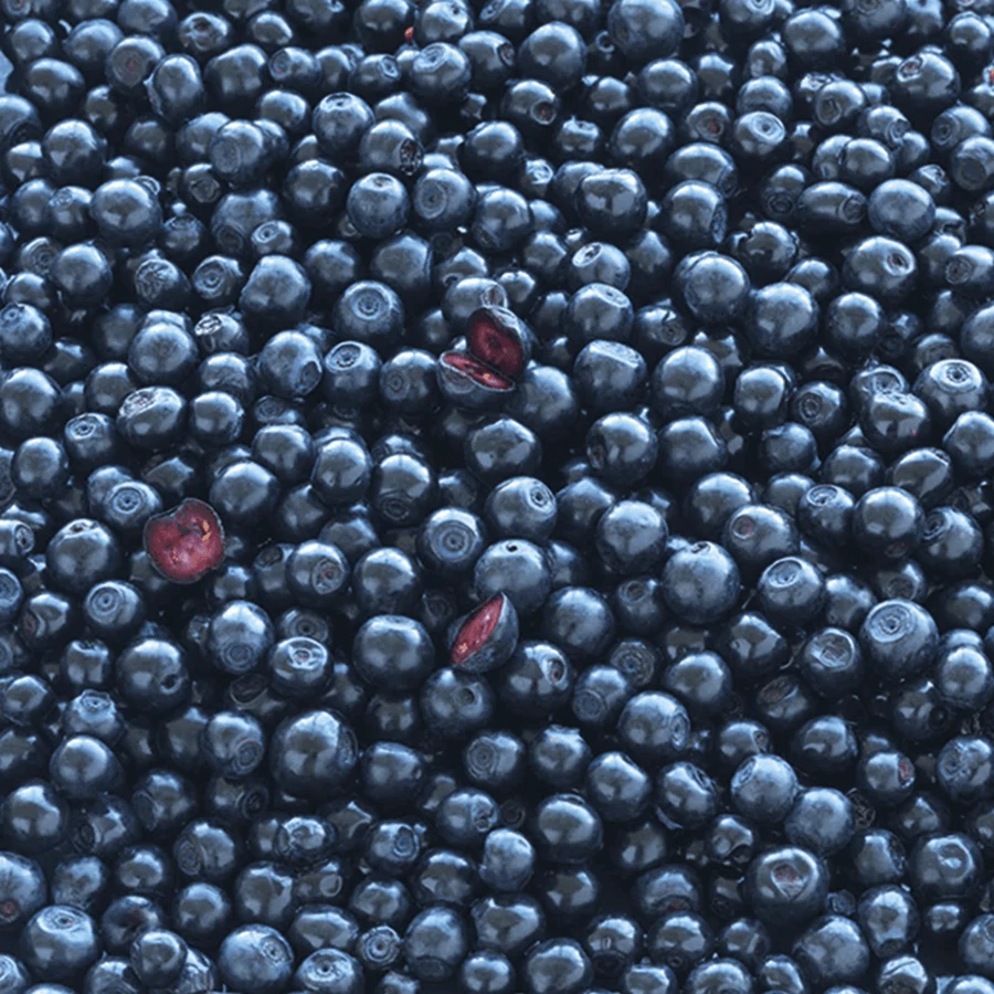 Новий набір Nordic Blue Berry Plus, 2 x 120 таблеток + пляшечка з шухлядками для ліків безкоштовно: ціни та характеристики