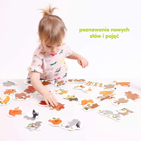 CzuCzu Животные в лесу, прогрессивный пазл для детей, от 2 лет, 33 элемента: цены и характеристики