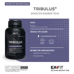 Eafit Tribulus Synthese Testosterone 90 Tablets: цены и характеристики