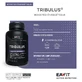 Eafit Tribulus Synthese Testosterone 90 Tablets