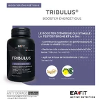 Eafit Tribulus Synthese Testosterone 90 Tablets: цены и характеристики