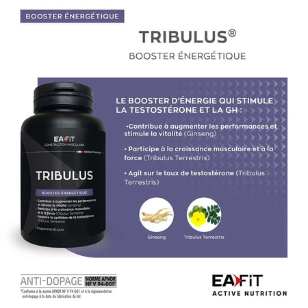 Eafit Tribulus Synthese Testosterone 90 Tablets: цены и характеристики