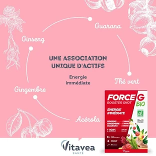 Vitavea Santé Force G Organic Boost Instant Energy 20 цибулин