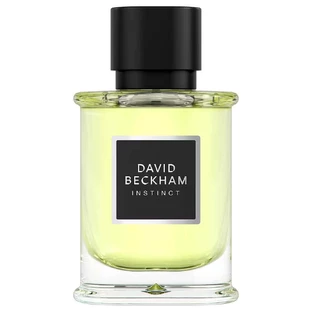 David Beckham Instinct Eau de Parfum, 50 мл