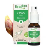 Herbalgem Буржуйська чорна смородина спрей біо 15мл