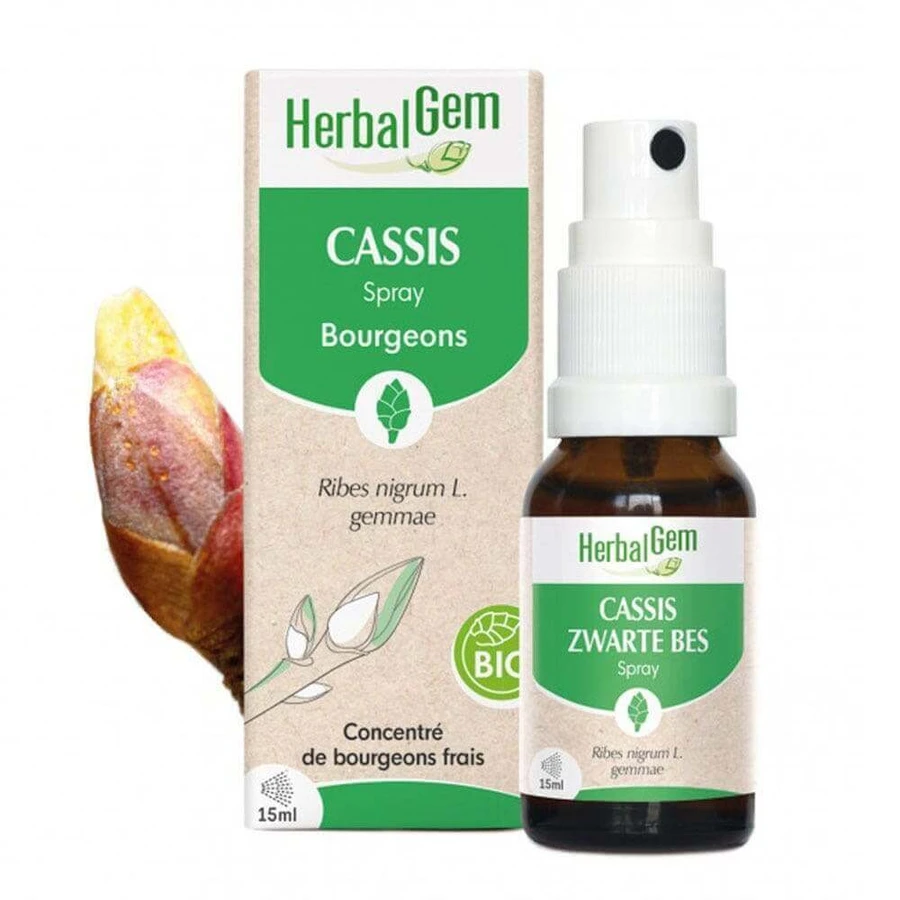 Herbalgem Буржуйська чорна смородина спрей біо 15мл: ціни та характеристики