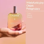 Caudalie, питательное масло-уход для тела, лица и волос, 100 мл: цены и характеристики