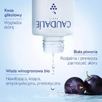 Caudalie Vinoperfect, концентрированная гликолевая эссенция для придания сияния, 100 мл: цены и характеристики
