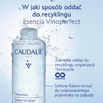 Caudalie Vinoperfect, концентрированная гликолевая эссенция для придания сияния, 100 мл: цены и характеристики
