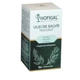 Мацерат масла шалфея, 60 мягких капсул, Hofigal