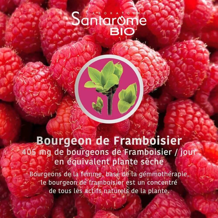 Santarome Organic Raspberry Gémmothérapie 30ml: цены и характеристики