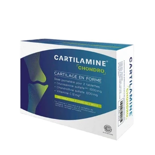 Vital Santé Cartilamine Chondro, 60 таблеток, Effi Science