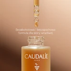 Caudalie Self-Tan Sun Drops, краплі для автозасмаги, 15 мл: ціни та характеристики