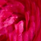 Roger & Gallet Gingembre Rouge, молочко для тела, 250 мл