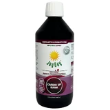 Концентрат пробіотичного напою Joy Day, Cardio Up Beetroot, 500 мл