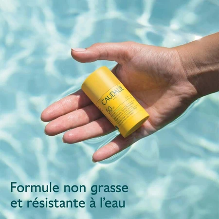 Caudalie Vinosun Невидимий стік з високим ступенем захисту SPF50 15 г: ціни та характеристики