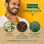 Santarome Propolis Royale органический спрей тройного действия 125 мл: цены и характеристики