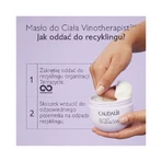 Caudalie Vinotherapist, веганське масло для тіла, що поповнює запаси ліпідів, 250 мл: ціни та характеристики