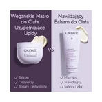 Caudalie Vinotherapist, веганське масло для тіла, що поповнює запаси ліпідів, 250 мл: ціни та характеристики