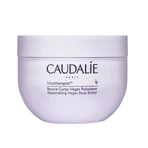 Caudalie Vinotherapist, веганське масло для тіла, що поповнює запаси ліпідів, 250 мл: ціни та характеристики