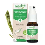 Herbalgem Буржуйський малиновий спрей біо 15мл