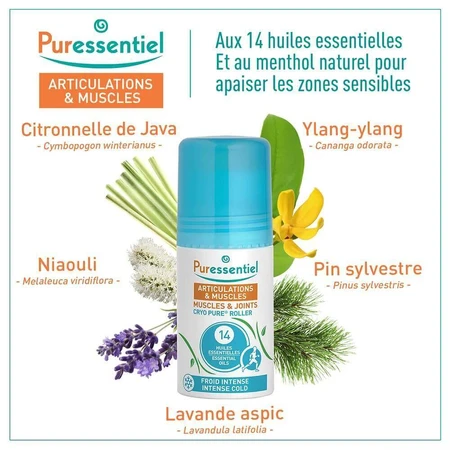 Puressentiel Ролл для суставов и мышц Cryo Pure Froid Intense 75 мл: цены и характеристики