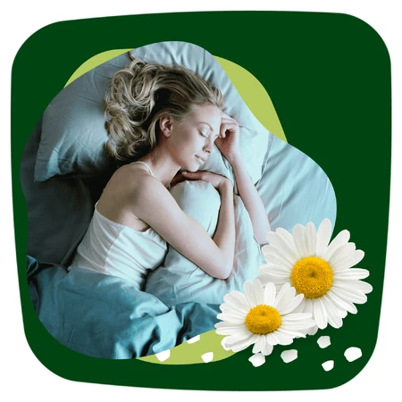 Naturella Ultra, гігієнічні серветки з крильцями, ромашка, Нічні, 14 шт.: ціни та характеристики