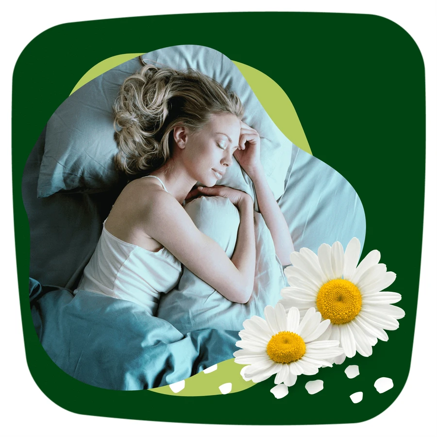 Naturella Ultra, гігієнічні серветки з крильцями, ромашка, Нічні, 14 шт.: ціни та характеристики
