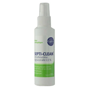 Антисептичний спрей Gifrer Septi-Clean 100 мл