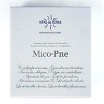 Hifas da Terra Mico-Pne 300 мл + 30 капсул: цены и характеристики