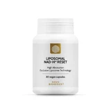 Ліпосомальний Nad-H+ Reset, 30 капсул, Novo Biomedics