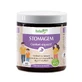 Льодяники Herbalgem Stomagem Comfort Digestive Bio 60 жувальних цукерок