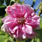 Sanoflore Eaux Florales Органическая цветочная вода розы 200 мл: цены и характеристики