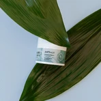 Clochee Simply Nature Anti Age, ультра-розгладжуючий денний крем, 50 мл: ціни та характеристики