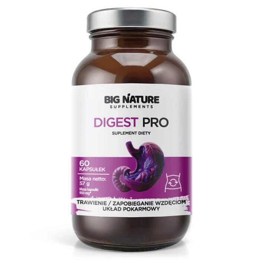 Big Nature Digest Pro, 60 капсул: ціни та характеристики