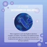 Аркофарма Арколевюр + Инулин 30 гелей