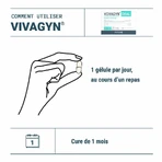 Densmore Vivagyn Intimate Comfort Probiotic 30 капсул: цены и характеристики