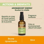 Pranarôm Aromaboost Energy Mist Bio 50ml: цены и характеристики