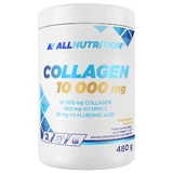 Allnutrition Колаген 10000 мг, полуничний смак, 480 г
