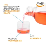 Набір Eludril Care, apă de gură împotriva plăcii bacteriene, 2 x 500 мл: ціни та характеристики