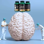 Преміум грибний комплекс Lanco Nutritions, 60 капсул: ціни та характеристики