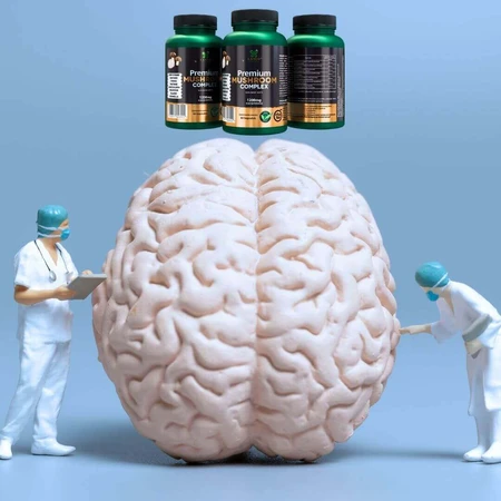Преміум грибний комплекс Lanco Nutritions, 60 капсул: ціни та характеристики