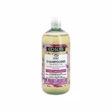 Coslys Organic Colour Сяйво волосся та шампунь для фарбування 500 мл