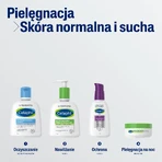 Cetaphil EM, Эмульсия мицеллярная для ухода за кожей, для чувствительной семьи, 250 мл + Крем гидратант для ухода за кожей с гиалуроновой кислотой, 48 мл бесплатно: цены и характеристики