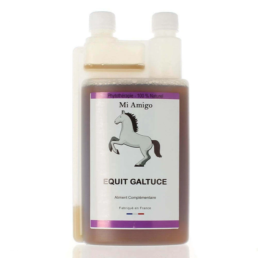 Mi Amigo Equit Gastulce 1L: цены и характеристики