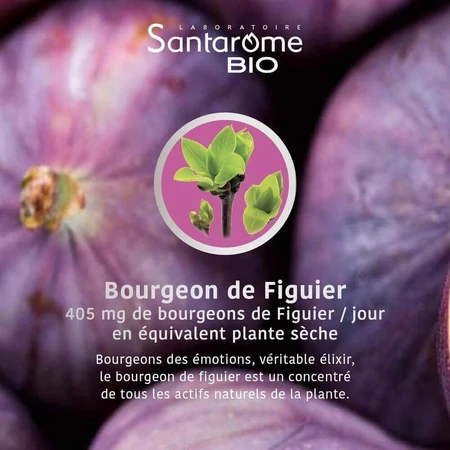 Santarome Organic Fig Sprout Gémmothérapie 30 мл: цены и характеристики
