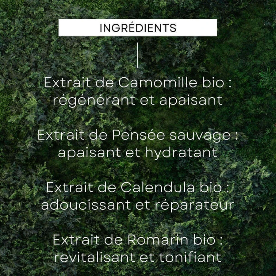 Weleda Skin Food Живильний крем для обличчя денний 40 мл: ціни та характеристики