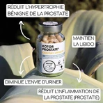 Kotor Pharma Prostate Urinary Comfort 60 капсул: цены и характеристики