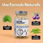 Kotor Pharma Prostate Urinary Comfort 60 капсул: цены и характеристики